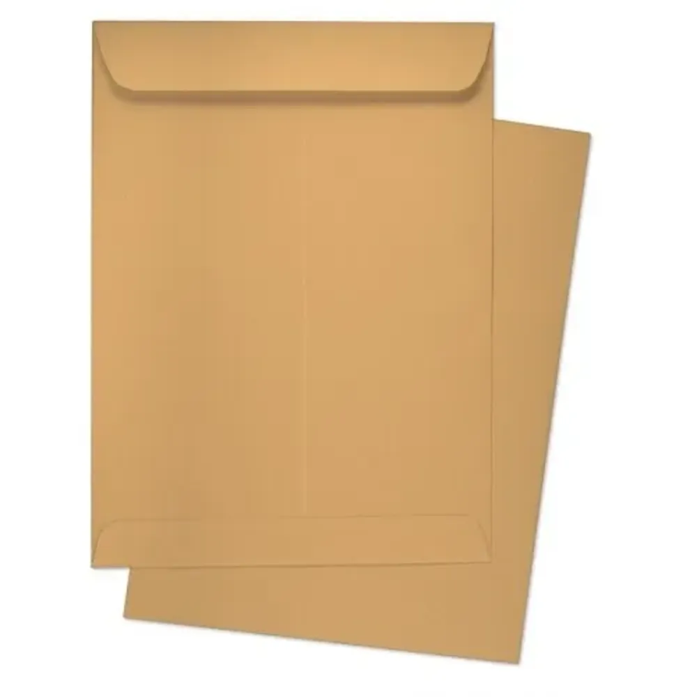 Envelope 10x12 Brown