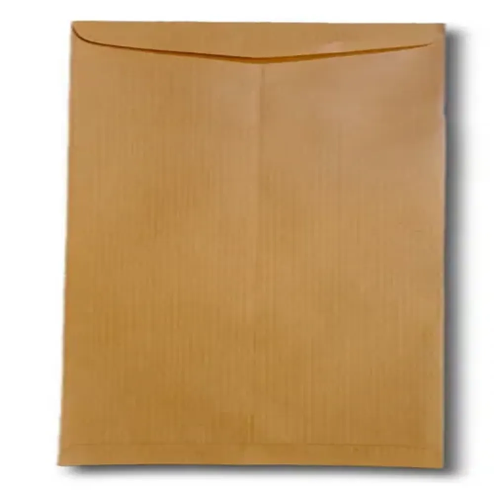 Envelope 11x5 Brown