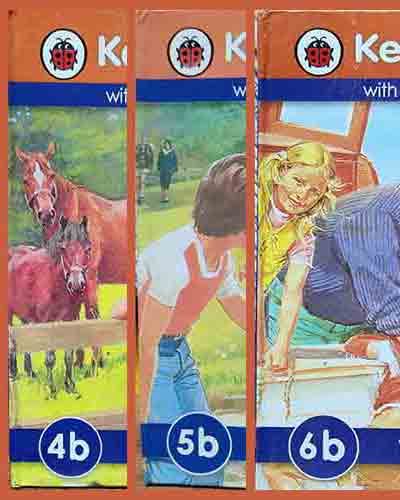 Ladybird Keywords Reading Scheme (4b,5b,6b)